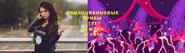 PSILOCYBIN Краснослободск