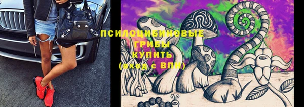 PSILOCYBIN Краснослободск