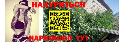 альфа пвп Заводоуковск