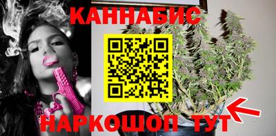 сатива Жуковский