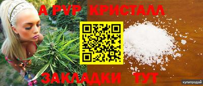 альфа пвп Заводоуковск