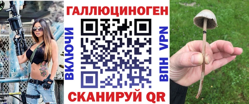 Псилоцибиновые грибы GOLDEN TEACHER  МЕГА ТОР  Гурьевск  как найти  