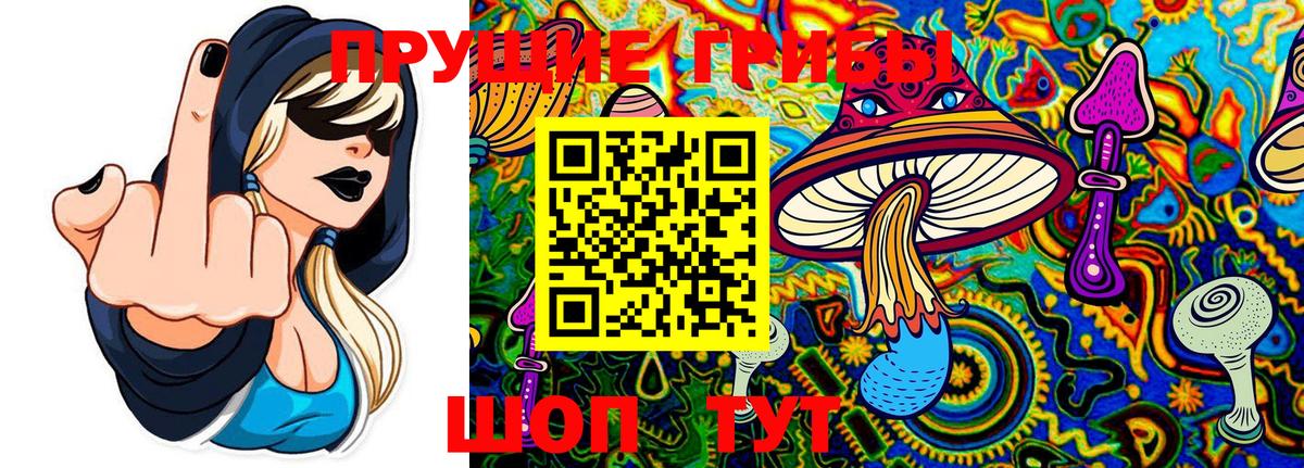 Псилоцибиновые грибы ЛСД Гурьевск