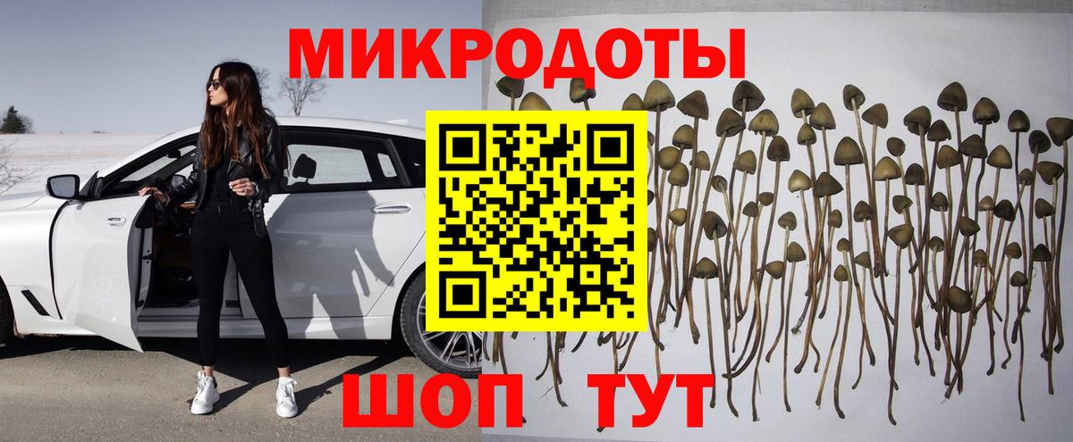 купить наркоту  Галлюциногенные грибы мицелий  Вход с VPN  Гурьевск 