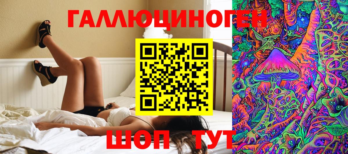 Псилоцибиновые грибы прущие грибы Гурьевск