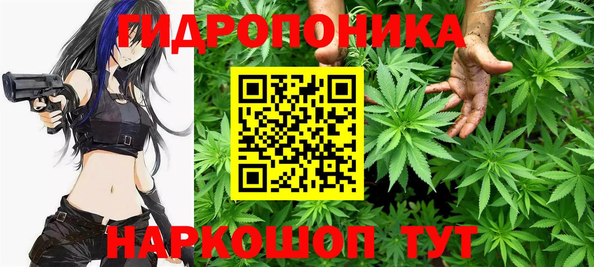 Каннабис марихуана Гурьевск